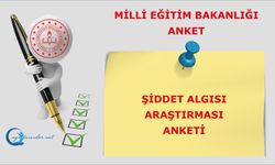 Şiddet Algısı Araştırması anketi