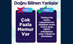 Dogru bilinen yanlış; çok fazla memur var!