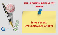 İş ve Beceri Uygulamaları Anketi