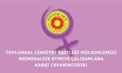 Toplumsal Cinsiyet Eşitliği Mücadelemizi Kriminalize Etmeye Çalışanlara Karşı Cevabımızdır!