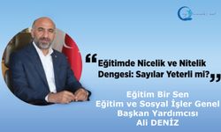 Eğitimde Nicelik ve Nitelik Dengesi: Sayılar Yeterli mi?