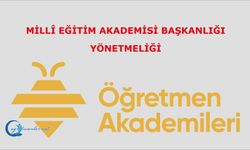 Millî Eğitim Akademisi Başkanlığı Yönetmeliği