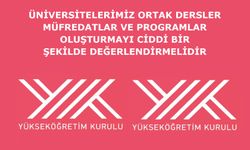 Üniversitelerimiz ortak dersler, müfredatlar ve programlar oluşturmayı ciddi bir şekilde değerlendirmelidir