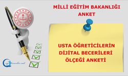 Usta Öğreticilerin Dijital Becerileri Ölçeği Anketi