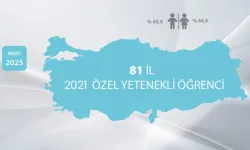BİLSEM'li öğrencilerinin 'kariyer gelişimi' incelendi