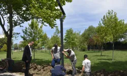 Bursa Karacabey’de Atatürk Kültür Parkı’na modern aydınlatma