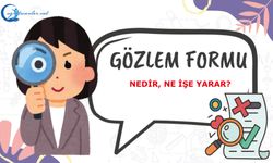 Gözlem Formu Nedir, Ne İşe Yarar?