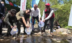 Kocaeli Kirazdere'ye 2 yılda 16 bin alabalık salındı