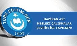 Haziran Ayı Mesleki Çalışmalar Çevrim İçi Yapılsın!
