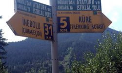 Atatürk ve İstiklâl Yolu Yürüyüşü