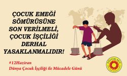Çocuk Emeği Sömürüsüne Son Verilmeli, Çocuk İşçiliği Derhal Yasaklanmalıdır!