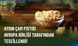 Aydın Çam Fıstığı, Avrupa Birliği’nde tescillenen 33. coğrafi işaretimiz oldu.