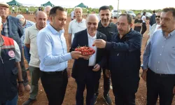 Mardin Ömerli'de doğa ve kültür buluştu