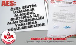 Özel Eğitim Uzmanlık Alanıdır, Sertifika İle Alan Değişikliği Yanlışına Düşülmemelidir!