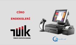 Ciro Endeksleri, Mayıs 2025