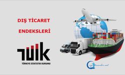 Dış Ticaret Endeksleri, Mayıs 2025