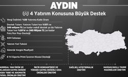 Topyekün Kalkınma Aydın