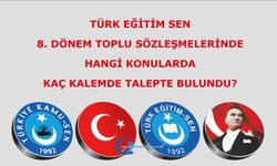 Türk Eğitim Sen  8. Dönem Toplu Sözleşmelerde hangi konularda kaç kalemde talepte bulundu?