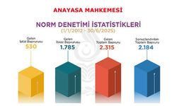 Norm Denetimi İstatistikleri (1 Ocak 2012 - 30 Haziran 2025)