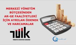 Merkezi Yönetim Bütçesinden AR-GE Faaliyetleri İçin Ayrılan Ödenek ve Harcamalar