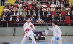 Esat Delihasan Karadeniz ve Hazar Ülkeleri Karate Şampiyonası