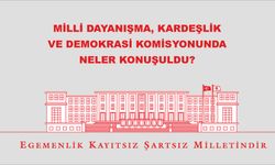 Milli Dayanışma, Kardeşlik Ve Demokrasi Komisyonunda neler konuşuldu?