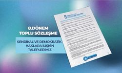 8.dönem toplu sözleşme sendikal ve demokratik  haklara ilişkin taleplerimiz