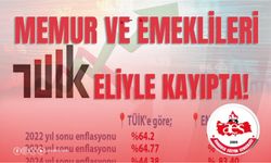 Memur Ve Emeklileri TUİK Eliyle Kayıpta!