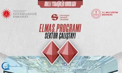 ELMAS Programı Sektör Çalıştayları