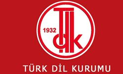 Türkçe ve Japonca üzerine yürütülen güncel çalışmalar