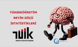 Yükseköğretim Beyin Göçü İstatistikleri