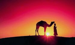 5. sınıf Peygamber Kıssaları