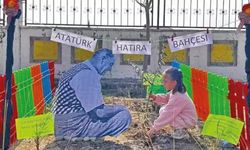 Her ağacın sabırla yazılmış bir yolculuğu vardır