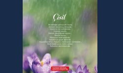 "Çisil" şiiri ÖğretmenİZ dergisinde!