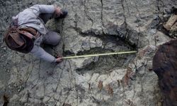 Dinozorların Ayak İzleri