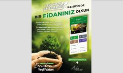 Sizin hala bir fidanınız olmadı mı?