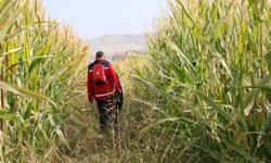 MEB AKUB arama çalışmalarına katılım saglıyor
