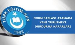 Norm Fazlası Atamada Yeni Yürütmeyi Durdurma Kararları