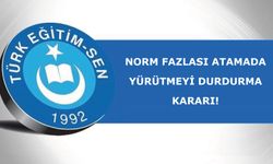 Norm Fazlası Atamada Yürütmeyi Durdurma Kararı!