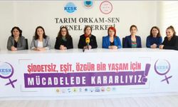 Kadına Yönelik Şiddete Karşı Mücadele ve Uluslararası Dayanışma mücadele takvimi