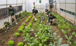 Öğrenciler, Okul Bahçesinde Sebze Yetiştirip Tavuk Besliyor