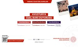 Avusturya Hükûmet Bursu