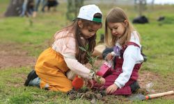 Bu aşk değil de ne?