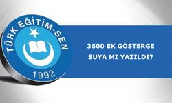 3600 Ek Gösterge Suya Mı Yazıldı?