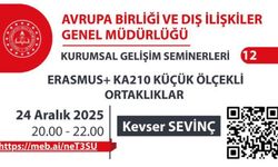 Erasmus, KA210 Küçük Ölçekli Ortaklıklar