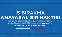 İş Bırakma Haktır, Cezai İşlem Uygulanamaz!