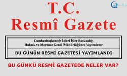 12 Aralık 2025 Tarihli ve 33105 Sayılı Resmî Gazete