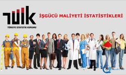 İşgücü Maliyeti İstatistikleri, 2024