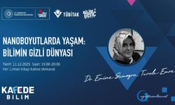 Nanoboyutlarda Yaşam: Bilimin Gizli Dünyası