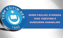 Norm Fazlası Atamada Yeni Yürütmeyi Durdurma Kararları